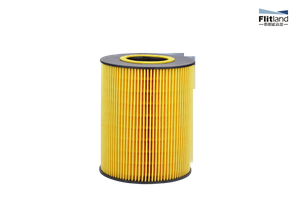 Hu1381X, 51.05504-0098, B7190, Ox146D, E13HD47, Lf3867, P550765, Fuel/Oil/Air Filter for Auto Parts (Hu1381X)