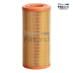 Air Filter F002H60012 for FORCE BAJAJ TEMPO MAHINDRA Provides Up to 12 Months Filter Protection