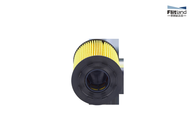  Engine Oil Filter Element 071115562A Fit For Volkswagen Jetta 2002-2014 Volkswagen 