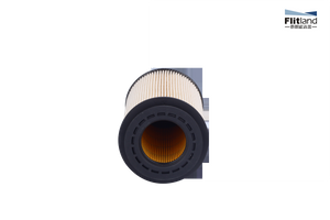 Fuel Filter 20998805 for Volvo Excavator 7900H 8900 FE240 FE280