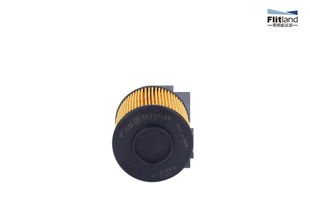 Oil Filter 55223416 71754237 HU8006Z OX779D 54327 0071754237 CH11120ECO E826HD268 WL7479 16510-62M00 650111 9551489 71754237 for ALFA ROMEO Giulietta FIAT 500 Ducato Punto 1.6/2.0 D