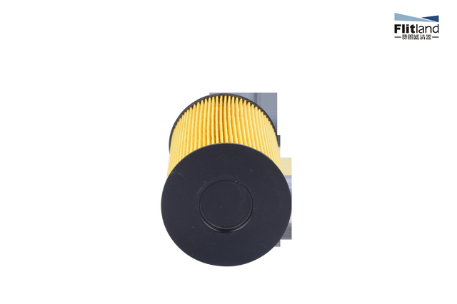 China Factory Supply 611600080113 Fuel Filter Compatible with Weichai WP9H/WP10H 